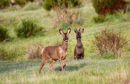 Casa Rural Turística Casa Nicolau 1 - Foto 10