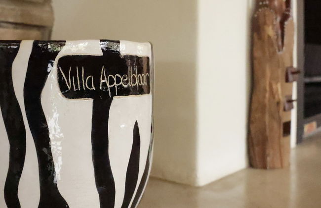 Villa Appelblaar Luxury 4 Bedroom Villa Home in the South African Bush - Photo 17