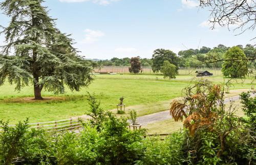 Lower West - Foto 10