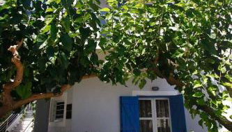 Studios Vasilis - Foto 5