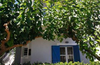 Studios Vasilis - Foto 5