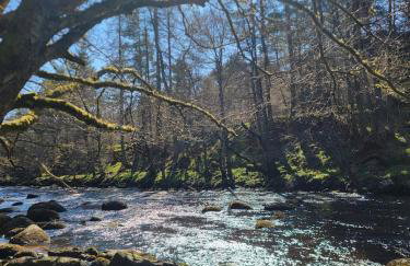 'Wee Smiddy' Shepherd's Hut - Sauna - Yoga - Wild Swim - Foto 17