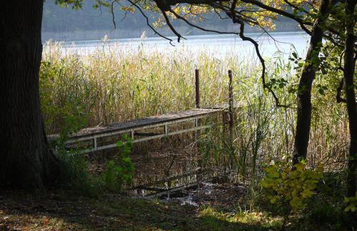 Agroturystyka Polana Harmonii - Foto 40