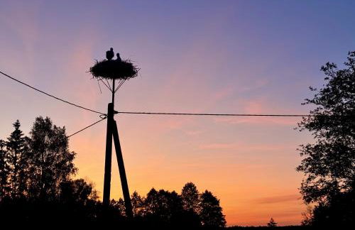 Farma Puchałowo - Foto 18