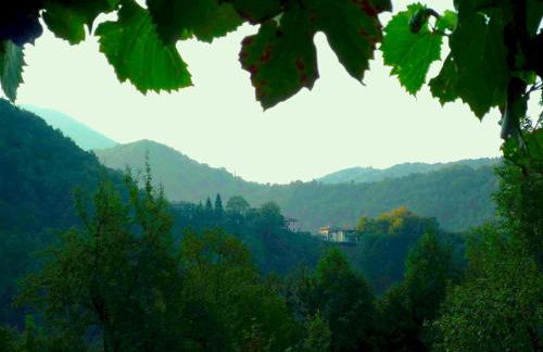 Casa Sittaro - Foto 4