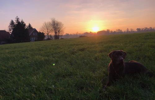 Bauernhofurlaub bei Familie Bokeloh - Foto 2