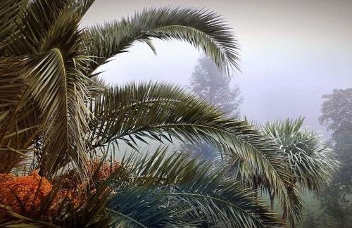 PequeñoCabárceno - Foto 28