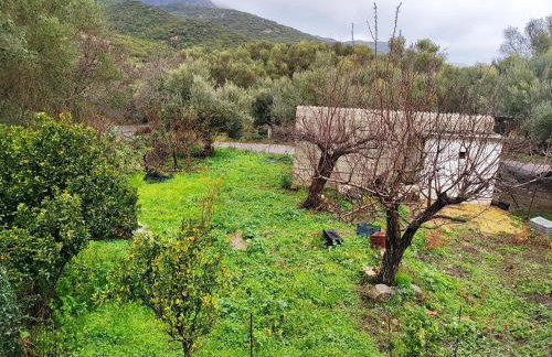 Nature House Vlatos - Foto 4