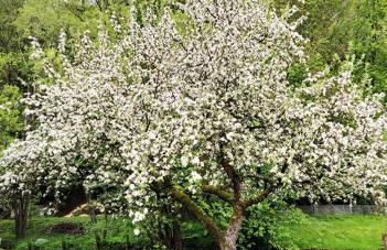 Holzhaus mit Kamin - Am Forellenfluss - Foto 31
