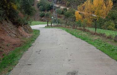 O cantinho d'abelheira - Foto 16