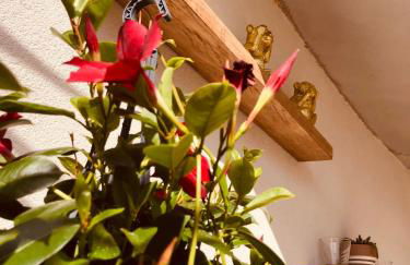 Les Mégalithes - Foto 11