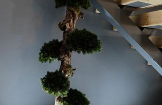 RH Casas de Campo Design - Foto 67