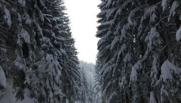 Haus Schwarz - Photo 4