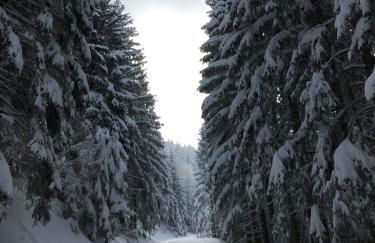 Haus Schwarz - Photo 4