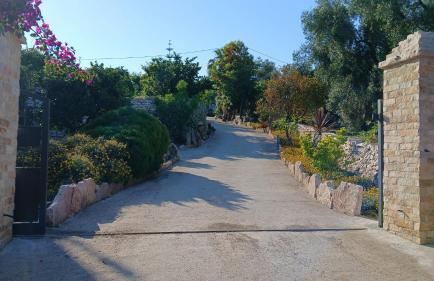 La Casa Del Nonno - Foto 3