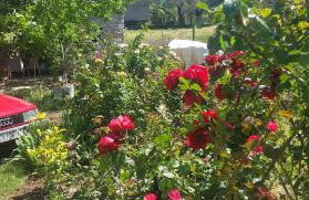 Apartment Pasman 1 - Photo 18