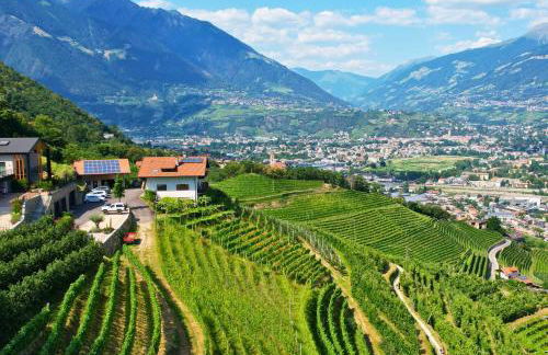 Hillepranter - Foto 6