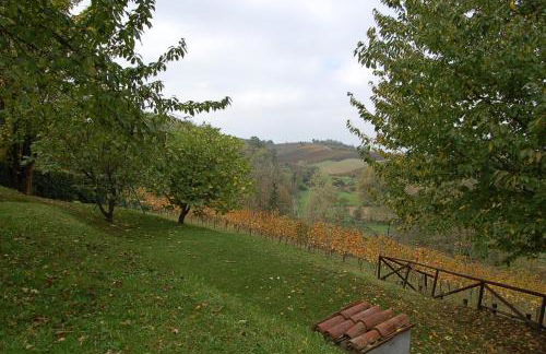 Casa intera tra le colline e le vigne del Dolcetto - Foto 18