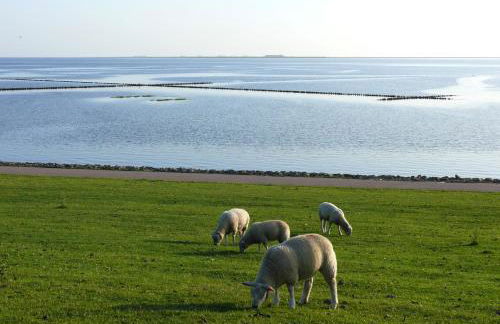 Friesenhaus am Meer - Foto 18