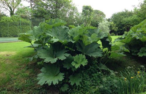 Hewletts Mill - Foto 52