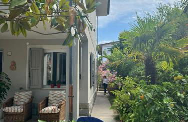 Pesciolino Rosso - Foto 10