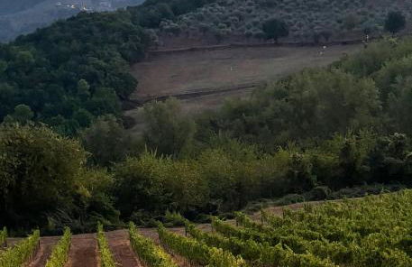 La Ghirlanda Wine Resort - Foto 37