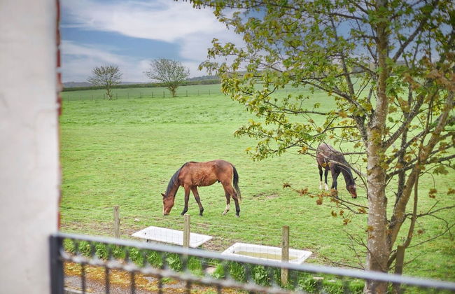 Host Stay The Paddock - Foto 20