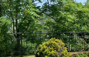 FuoriPorta Affitti Brevi - Borgo Scorza - Photo 8