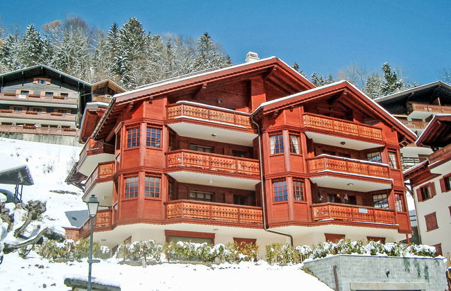 Bouquetins - Photo 2