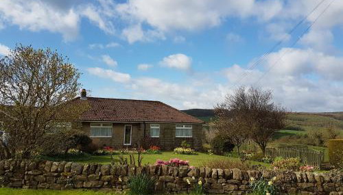 Woodpeckers Cottage - Foto 2, Garden