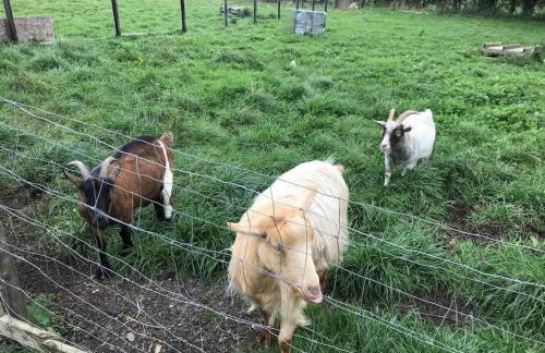 Springwood farm - Foto 15