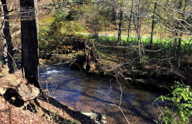 Catskill Retreat - Foto 77