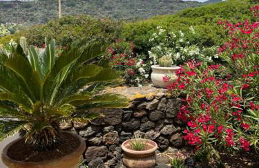 Dammuso Pensare alla Luna - Foto 45