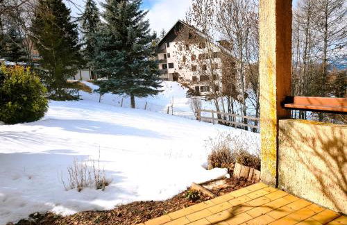 Appartement en rez-de-jardin à 300m des pistes - Foto 1