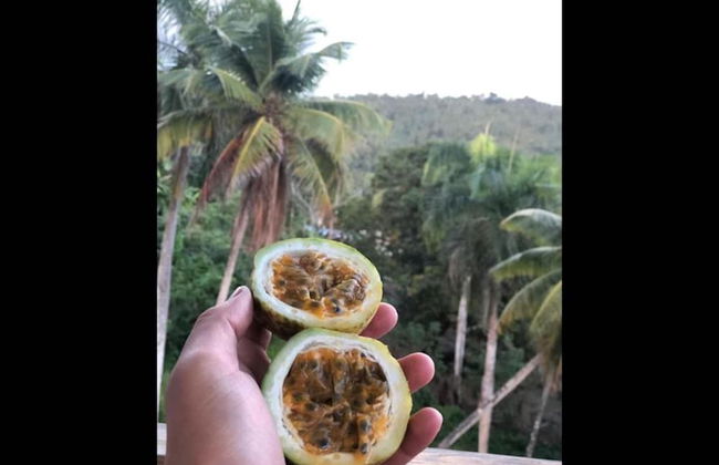 Private Terrace - Apartment 2 in Villa Coconut - Foto 7