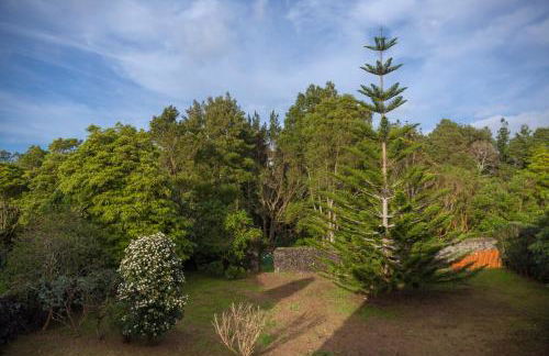 Casa do Ácer - Photo 51