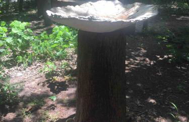 The Bryan House, Where History & Nature Meet! - Foto 18