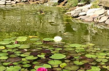 Agriturismo Marcarini - Foto 68