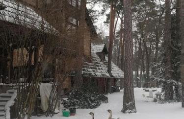 Leśny kasztel pod sosnami. Pokój w koronach drzew. - Foto 33