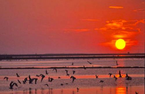 Maioliche Apartment - Foto 52