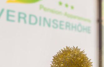 Appartements Verdinserhöhe - Foto 60