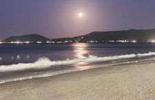 Ingleses Norte, perto mar, 2 quartos, 2 banheiros - Photo 18