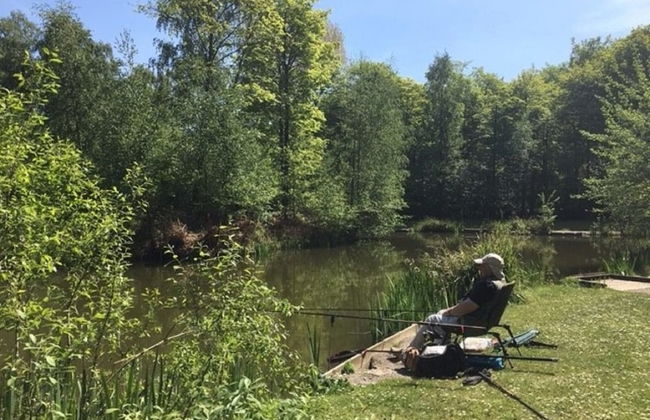 Hollicarrs - Wildflower Lodge - Foto 7