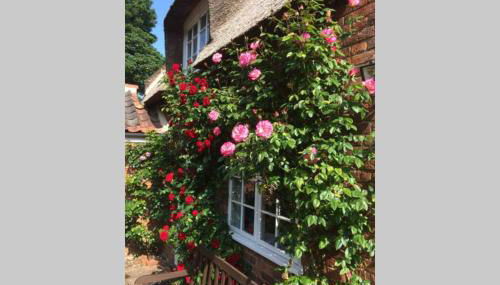 Rose Cottage - Foto 4