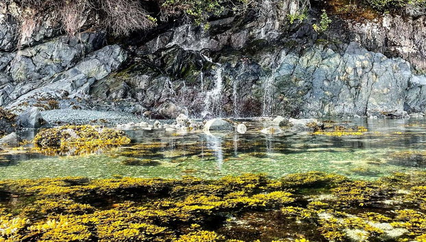 Telegraph Cove Kayak Tour - Foto 5