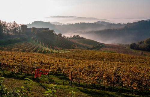 Tenuta Tenaglia - Foto 43