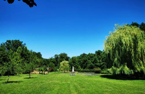 Château Le Brun - Loire Valley and vineyards - Foto 68