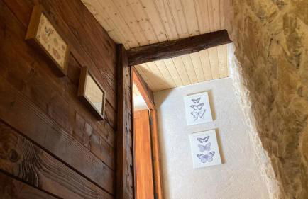 La gallina - Foto 18