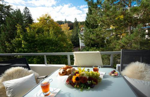 Family Apartment City Center Baden-Baden - Foto 29