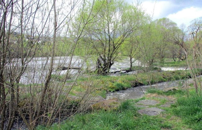 Ferienwohnung im Bayerischen Wald mit Terrasse - Photo 36